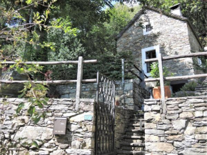 Rustico Gatto by Fewotessin Cugnasco-Gerra